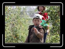 IMG_6696 * 850 x 608 * (240KB)