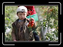IMG_6704 * 850 x 608 * (242KB)