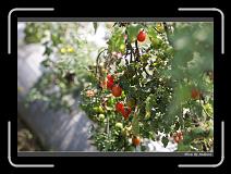 IMG_6708 * 850 x 608 * (236KB)