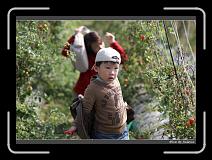 IMG_6709 * 850 x 608 * (234KB)