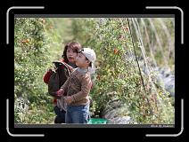 IMG_6711 * 850 x 608 * (243KB)