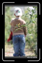 IMG_6716 * 566 x 910 * (227KB)