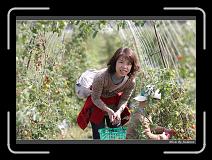 IMG_6724 * 850 x 608 * (241KB)