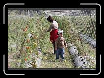 IMG_6728 * 850 x 608 * (245KB)