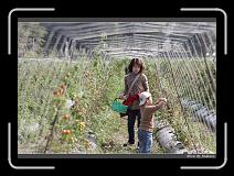 IMG_6729 * 850 x 608 * (249KB)