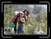 IMG_6735 * 850 x 608 * (249KB)