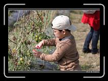 IMG_6745 * 850 x 608 * (235KB)