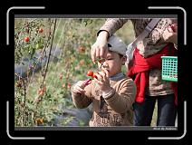 IMG_6747 * 850 x 608 * (235KB)