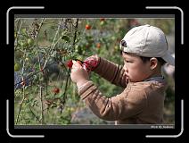 IMG_6751 * 850 x 608 * (244KB)