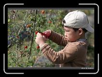 IMG_6752 * 850 x 608 * (231KB)