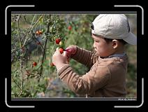 IMG_6753 * 850 x 608 * (249KB)
