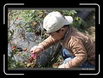 IMG_6756 * 850 x 608 * (235KB)