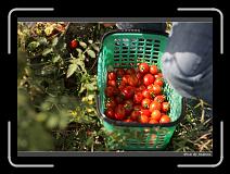 IMG_6757 * 850 x 608 * (232KB)