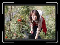 IMG_6766 * 850 x 608 * (241KB)