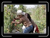 IMG_6769 * 850 x 608 * (245KB)