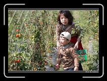 IMG_6783 * 850 x 608 * (248KB)