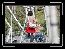 IMG_6790 * 850 x 608 * (237KB)