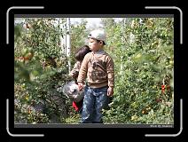 IMG_6792 * 850 x 608 * (246KB)