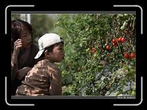 IMG_6797 * 850 x 608 * (231KB)