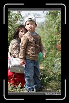 IMG_6800 * 566 x 910 * (245KB)