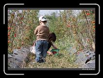IMG_6804 * 850 x 608 * (243KB)