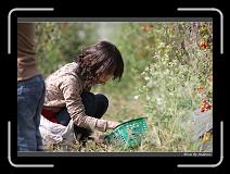 IMG_6805 * 850 x 608 * (250KB)