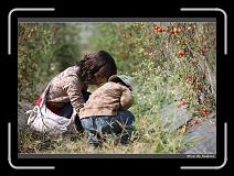 IMG_6808 * 850 x 608 * (242KB)