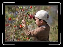 IMG_6813 * 850 x 608 * (244KB)