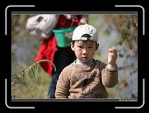 IMG_6816 * 850 x 608 * (246KB)