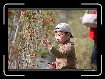 IMG_6817 * 850 x 608 * (244KB)