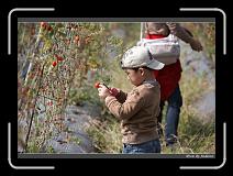 IMG_6819 * 850 x 608 * (238KB)