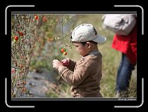 IMG_6821 * 850 x 608 * (232KB)