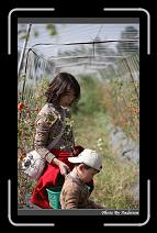 IMG_6823 * 566 x 910 * (233KB)