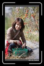 IMG_6826 * 566 x 910 * (247KB)