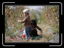 IMG_6835 * 850 x 608 * (243KB)
