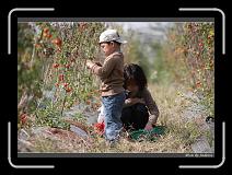 IMG_6837 * 850 x 608 * (241KB)