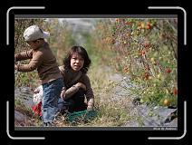 IMG_6840 * 850 x 608 * (244KB)