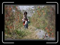 IMG_6842 * 850 x 608 * (242KB)