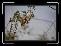 IMG_6844 * 850 x 608 * (220KB)