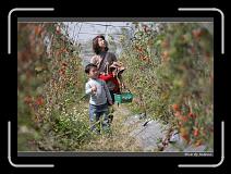 IMG_6846 * 850 x 608 * (248KB)