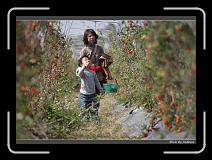 IMG_6847 * 850 x 608 * (245KB)