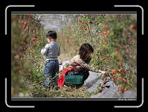 IMG_6852 * 850 x 608 * (239KB)