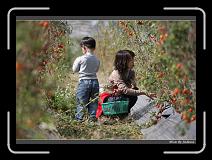 IMG_6854 * 850 x 608 * (247KB)