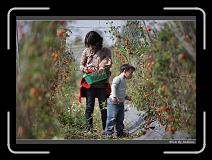 IMG_6855 * 850 x 608 * (249KB)