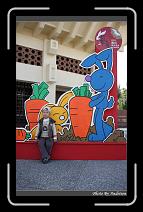 IMG_6877 * 566 x 910 * (242KB)