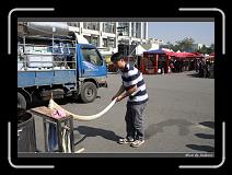 IMG_6889 * 850 x 608 * (234KB)