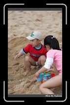 IMG_7033 * 566 x 910 * (232KB)
