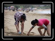 IMG_7047 * 850 x 608 * (233KB)