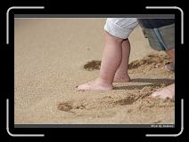 IMG_7071 * 850 x 608 * (220KB)