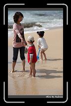 IMG_7085 * 566 x 910 * (218KB)